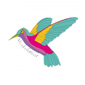 trazado colibri.png (1 MB)